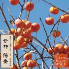 果樹,柿 | 花の大和オンラインショップ