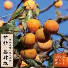 果樹,柿 | 花の大和オンラインショップ