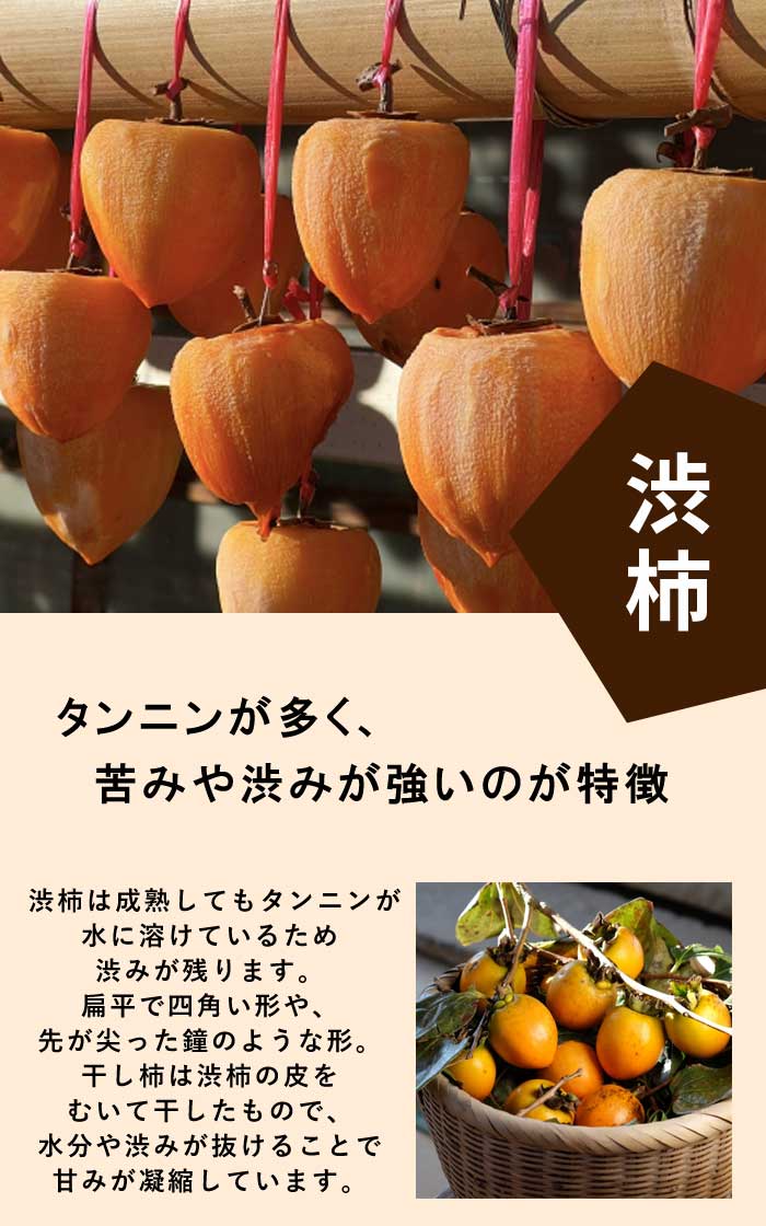⑤愛宕柿 あたご 3年生 実つき！ カキ(渋柿) 愛宕(あたご)[二年生苗