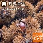 �� �� ð������(���󤶤�碌) �̼� ���� ���� �� 15����ݥå� ��ʴ��ɬ�� ����̵�� �������� ����