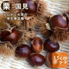 �� �� �񸫡ʤ��ˤߡ� �̼� ���� ���� �� 15����ݥå� ��ʴ��ɬ�� ����̵�� �������� ���� ���� ��� ����