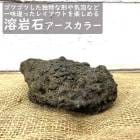  к  ϴ 顼 1 ݥƥꥦ ߺ ƥꥦ ꥦ  ݶ  ƥꥢ åǥ ̵ ŷ ߺ ʥ  