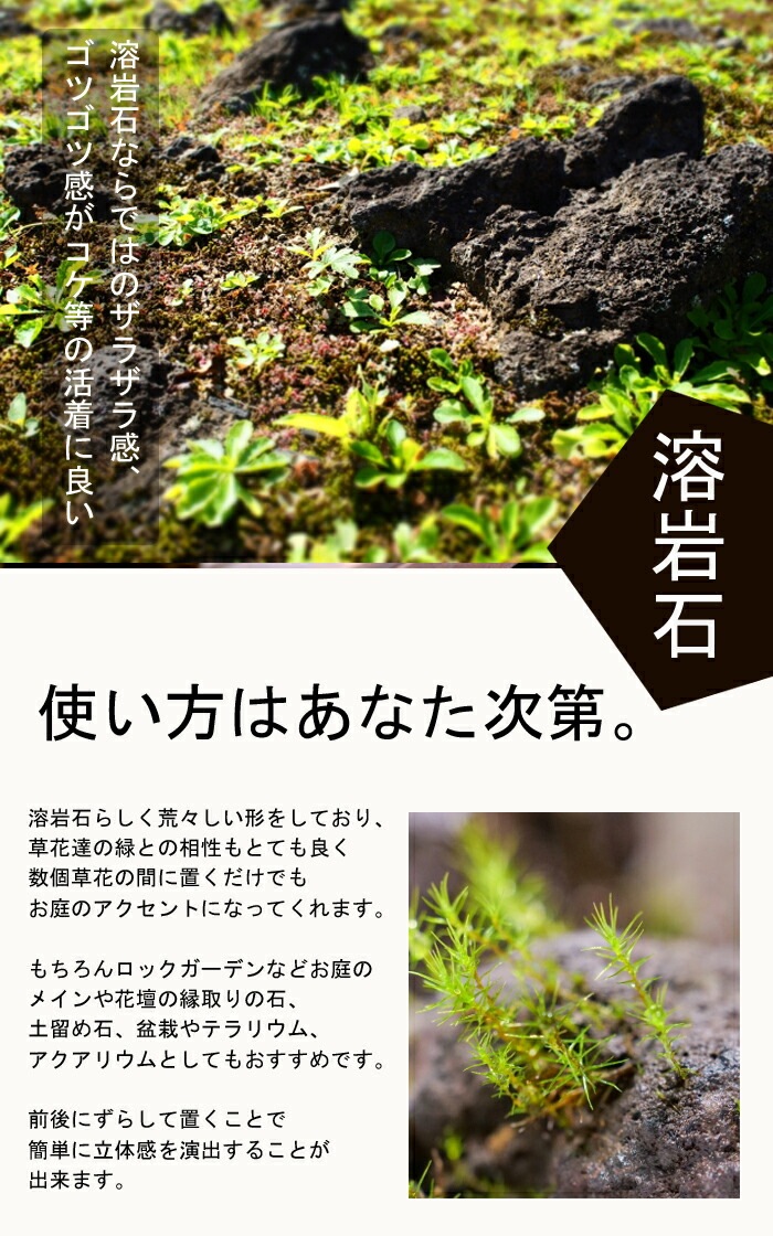 アクアテラリウム　　溶岩石　No.3　※傷あり特価※ アクアテラリウム 溶岩石 No.3 ※傷あり特価※ アクアテラリウム 溶岩石