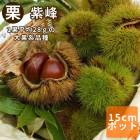 �� �� �����ʤ��ۤ��� �̼� ���� ���� �� 15����ݥå� ��ʴ��ɬ�� ����̵�� �������� ���� ���� ���