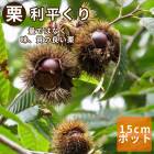 �� �� ��ʿ����ʤ�ؤ��� �̼� ���� ���� �� 15����ݥå� ��ʴ��ɬ�� ����̵�� �������� ���� ���� ���