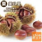 �� �� ����Τ�ʤߤ���� �̼� ���� ���� �� 15����ݥå� ��ʴ��ɬ�� ����̵�� �������� ���� ���� ��� ����