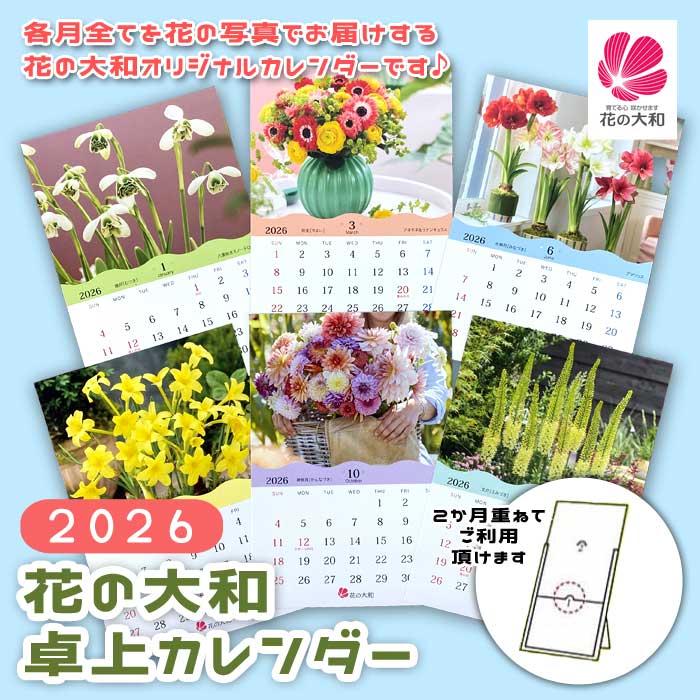 2026ǯ ֤   ( 15cm  10.5cm ) 12 ꥸʥ 1Ϥޤ calendar  ӥ ƥꥢ