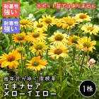 �����ʥ��� ������������� �庬 1��  �����ʼ� �ѽ��� �ɺ��� �߿��� ��ǯ�֤��餯�ɺ��� �֤�����