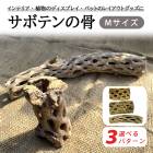 ���ܥƥ�ι� ���� M������ 3�ѥ����󤫤����٤� ���ܥƥ� ����ƥꥢ �������ꥦ�� �������� ������ȥ� �������ץ��� ���� ���ܾ���