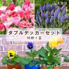 ͽ ư򸫤ʤ ֥ǥå å ̵  塼å  ॹ 庬  ѥ󥸡 or ӥ   ֤ 11ܤ缡ȯ