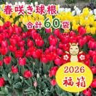 ����̵�� ��ʡȢ 2026 �������̡����60���Ϥ��� ���塼��å� �庬 �˽պ餭�庬���դ��� ���㤤�� �������� ʡ�� ���̸��� �֤�����