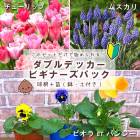 ư��򸫤ʤ��� ���֥�ǥå��� ��ĩ�� �ӥ��ʡ����ѥå��� ���塼��å� �� �ॹ����庬���ѥ�ӥ��� �� ��/ȭ/ȭ�����դ�