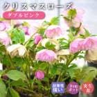 ꥹޥ  ֥ԥ  9 Ȭź餭    Ѵ ǥ˥  إܥ륹