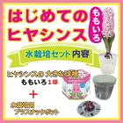 �Ϥ���Ƥ� �ҥ䥷�� ����� ���å� �� �庬 + ������ƴ� �� ��⤤�� �� ���å� �֤�����