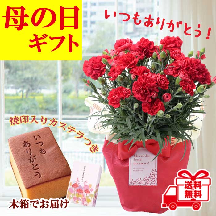 ��ͽ��� ����� �ץ쥼��� 2026ǯ ���٤� �����͡������ 5��ȭ ����̵�� �����ƥ��դ� ̵����åԥ� ���ե� �֤ȥ������� ���� 50�� 60�� �֤�����