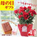 ��ͽ��Ķ���� ����� �ץ쥼��� 2026ǯ ���٤� �����͡������ 5��ȭ ����̵�� �����ƥ��դ� ̵����åԥ� ���ե� �֤ȥ������� ���� 50�� 60�� �֤�����