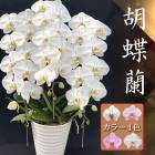 �� ����̵�� �� ��åԥ�̵�� �� ��ĳ�� �����ʼ� �����٤��Ω�ơ����顼������ �����礦��� ��Ź�ˤ� ���ˤ� ������ �ͻ���ư ��Ϸ���� �����
