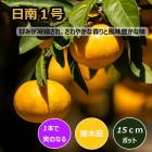 �ߤ��� ���� ����1�� 15����ݥå� ���� �� ��Ͽ�ʼ� ���ȷ���� ������ ���� �ߥ��� ���� �̼� ��� �����ڱ� �����ǥ˥� ����̵��