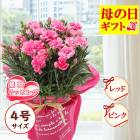 ��ͽ��� ����̵�� ����� �ץ쥼��� 2026ǯ ���٤� �����͡������ 4��ȭ ̵����åԥ� �� ��å� or �ԥ� �� ȭ�� ���� 50�� 60�� 70�� �֤�����