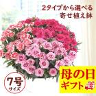 ��ͽ��� ����� �ץ쥼��� 2026ǯ 2�����פ������٤� �����͡������ �� �������� or2�������۴󤻿��� �礭��7��ȭ ����̵�� ȭ�� 50�� 60�� �֤�����