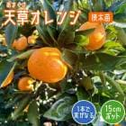 ����� ���� ŷ�� ����� 15����ݥå� ���� �� ���ȷ���� ���ޤ��� �ߥ��� �ߤ���  ���� �̼� ��� �����ڱ� �����ǥ˥� ����̵��