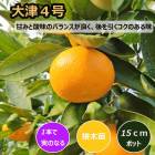 �ߤ��� ���� ����4�� 15����ݥå� ���� �� ��Ͽ�ʼ� ���ȷ���� ���� ���� �ߥ��� ���� �̼� ��� �����ڱ� �����ǥ˥� ����̵��