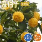 �椺 ���� ��ͮ�� 15����ݥå� ���ˤ椺 ���� �� ���ȷ���� �楺 ���� �̼� ��� �����ڱ� ������� �椺��Ϥ �����Ҥ� ����� ����̵��