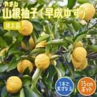 �椺 ���� ����ͮ�ҡ� �����椺 �� 15����ݥå� ���� �� ���ȷ���� ��ޤ� �楺 ���� �̼� ��� �����ڱ� ������� �椺�� ����̵��