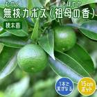 ���ܤ� ���� ̵�� ���ܥ� ( ����ι� ) 15����ݥå� ���� �� ���ȷ���� ���ܤ� ���� �̼� ��� �����ڱ� ������� ��̵�� ����̵��