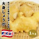 �� ��ժ �� ������ ��� ���礦�� ������ ��1kg �� ��庬 �礷�礦�� ���祦�� ��̣ ���󥸥㡼 ginger �֤�����