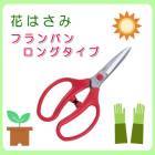 ���륹 �֤Ϥ��� �ե��Х� ���󥰥����� �����ǥ˥� ��� �Ϥ��� �� �ϥ��ߡ�