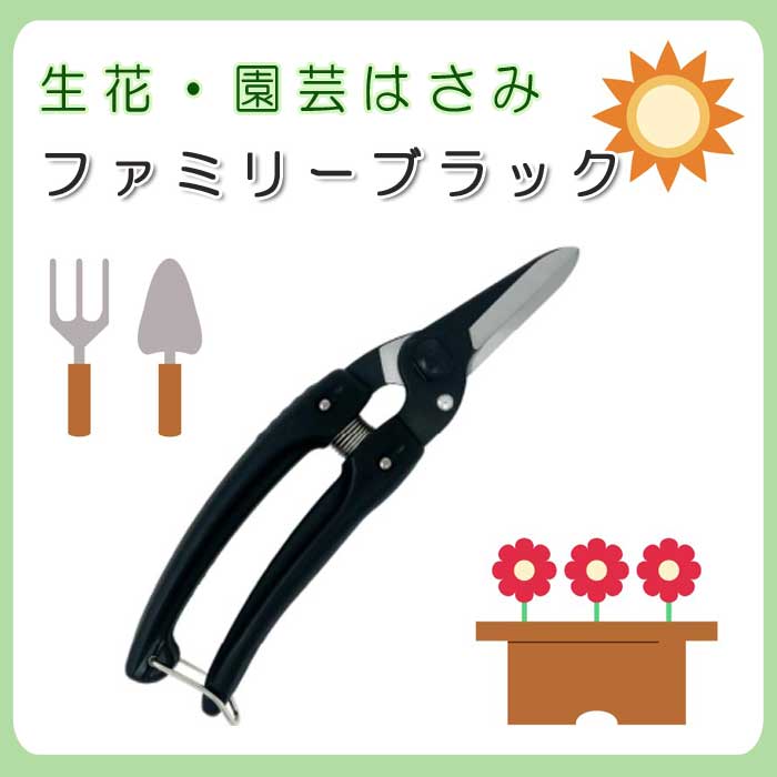 륹 ֡ݤϤ եߥ꡼֥å ǥ˥  Ϥ  ϥߡ