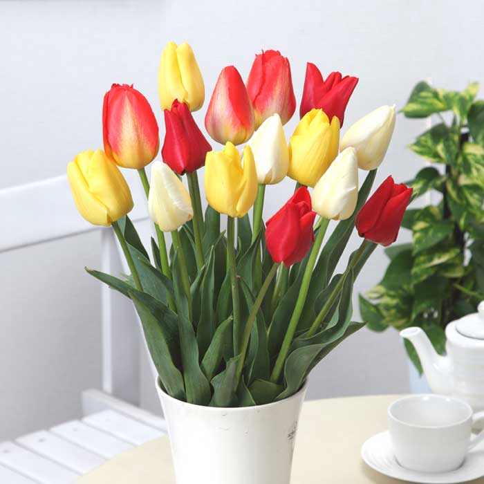 チューリップ 球根 30日 連続開花 【 つぎつぎ咲くミックス 】 混合 20