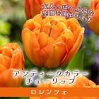 塼å 庬 ĥ 3 ƥ顼   󤻿 ץ󥿡 ֤