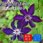 ޥ  7.5cm󥰥ݥå  ѡץ ڥӥϡ޺餭ۻ͵餭 ۼ