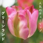 塼å 庬 ꡼ 3 ͵Υ塼å  ץ󥿡 󤻿  ֤