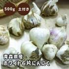  դ  庬 ˤˤ Ŀ ʡ ۥ磻6 500g ڤȺդ ̵ ӡ̥ڤӥҴޤ 