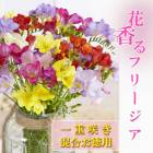 �ե꡼���� �庬 �� ������ �� ��ź餭 ���� 20�� ������ �󤻿��� �ץ�󥿡� ȭ���� ���� �����ǥ˥� �֤�����