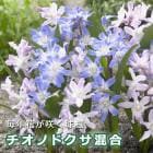 Υɥ  庬 12 äѤʤ  Х饨ƥ 󤻿 ץ󥿡  ǥ˥ ֤