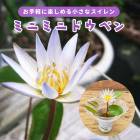 ������� �ߥ˥ߥ� �ɥ��٥� 2.5�� �� �ե�åڥ��å� 1�� �� �� 1�� �� ��ּ� Ǯ���� ��ϡ ����ڤ˳ڤ���� ���տ�ʪ ������ʪ �뤵�˶���