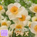 �ֹ�� ���� �庬 �� ���㥺 ��2�� �������� �ڤ�֤ˤ� ������ ��դβ� �󤻿��� ˧�� �֤�����