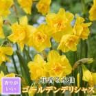 �ֹ�� ���� �庬 �� ������ǥ�ǥꥷ�㥹 ��2�� �������� �ڤ�֤ˤ� ������ ��դβ� �󤻿��� ˧�� �֤�����