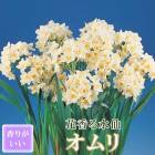 �ֹ�� ���� �庬 �� ����� ��2�� �������� �ڤ�֤ˤ� ������ ��դβ� �󤻿��� ˧�� �֤�����