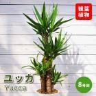 ��å� 8��ȭ ���տ�ʪ ��ǯ���� ����ƥꥢ ���� ��ӥ� ������� ��Ƥ䤹�� ����˶��� ���饢����ȭ �������դ� ����̵��