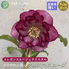 ���ꥹ�ޥ������� �� ���쥬�󥹥롼���奯�ꥹ����  ��ꥯ������ 9����ݥå� �� ���� �Ѵ��� �إ�ܥ륹 �ߥ襷