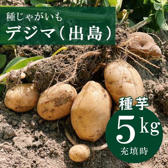 【種芋】デジマ 長崎県産 17〜18キロ（20kg袋です）翌日までには発送 種芋】デジマ 長崎県産 17〜18キロ（20kg袋です）翌日までに発送