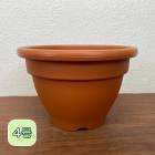 ץȭ ٥ݥå 4 ֥饦 ݥå ȭ ץ饹å