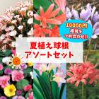 㤤 ƿ 庬  ȥå  1  Ĥ碌  餭 ֤  ̵ 