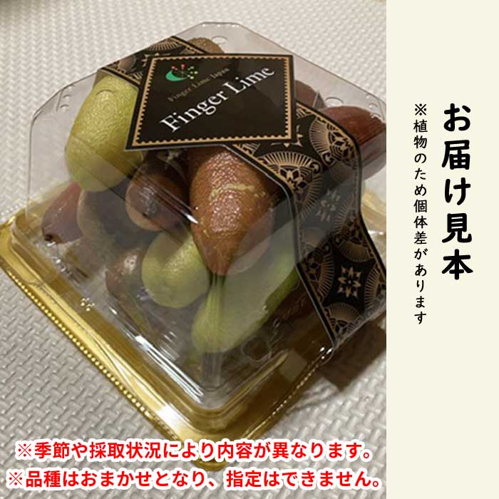 フィンガーライム 果実販売 おまかせ 品種MIX 100g 柑橘 キャビア