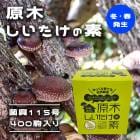 ���ڤ����������� �ݶ�115��400�� ���ߡ���ȯ���� ���ȤǤ��Τ� ��ä����Ƥ� �������� ���� �������� Ķ���� ����������